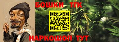 гидропоника Можга