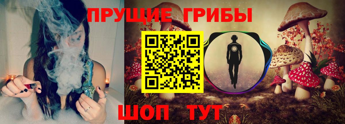 Псилоцибиновые грибы Cubensis Клинцы