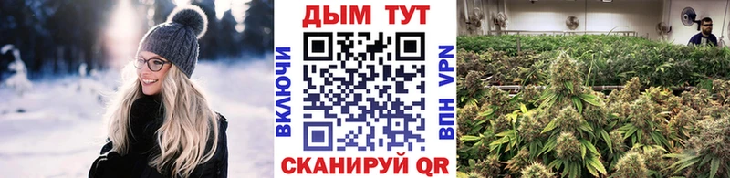 хочу   Клинцы  Каннабис индика 